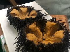 -海胆小馆(东北水饺·春柳店)