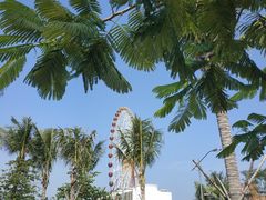 -三亚海昌梦幻海洋不夜城