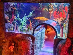 -沈阳海洋探索中心