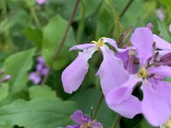 -白塘生态植物园
