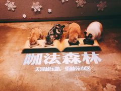 -咖法森林·咖啡  酒吧(天河店)