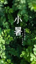 -卡尔诗·科技美肤连锁