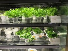 -半岛翡丽海鲜自助餐厅(观风亭店)