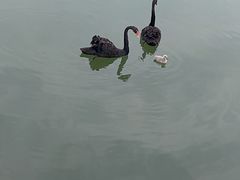 -蓬莱欧乐堡梦幻世界