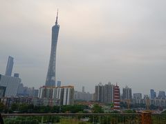 -小茶闲舍·观景商务茶馆(广州塔店)