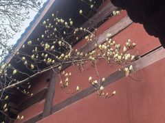 -钱王祠