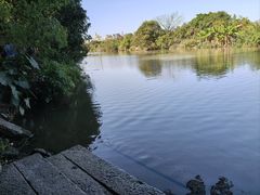 -小洲村