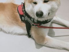 门面-YCHL Studios健身工作室(市二宫店)