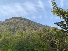 -北京西山国家森林公园