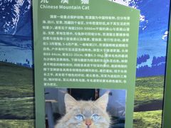 -青藏高原野生动物园