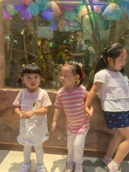 -宝燕乐园(闵行旗舰店)