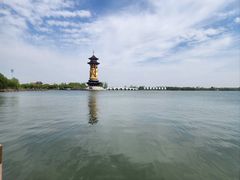 -溱湖国家湿地公园