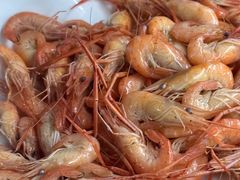 -八仔大富楼·河鲜(西江店)