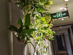 -懒人盐府人家(航天桥店)