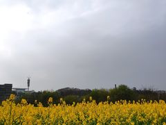 -贵阳市花溪国家城市湿地公园