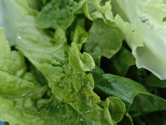 什菜-章记正宗南岗鱼蛋火锅