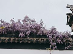 -拙政园