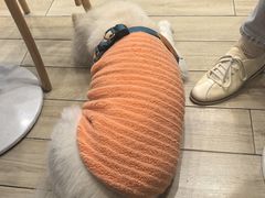 -OZ cafe(南昌路店)