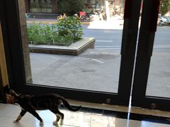 -瑞鹏宠物医院犬猫全科(真大分院)