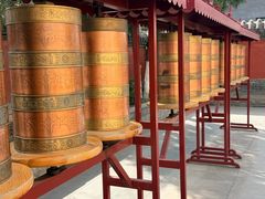 -护国法轮寺