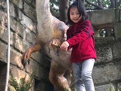 -自贡恐龙博物馆