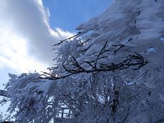 -崂山巨峰游览区