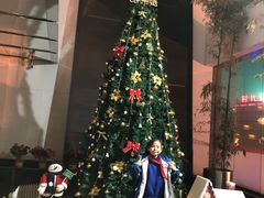 -捞王猪肚鸡火锅(财富中心店)