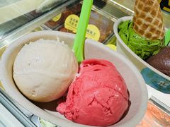 -Mint Gelato(二厂店)