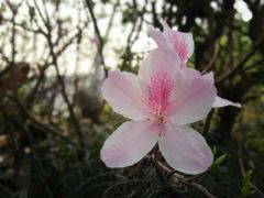 -乌山风景区
