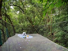 -天鹿湖森林公园