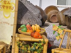 -苏州市吴中区光福窑上花果蜜饯厂