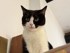 -原田新料理(1912店)