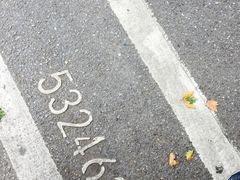 -王氏烧麦大骨汤水饺