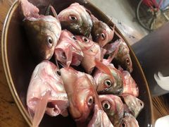 -章记正宗南岗鱼蛋火锅