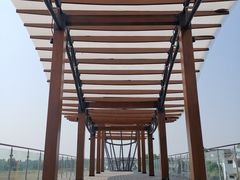 -桤木河湿地公园