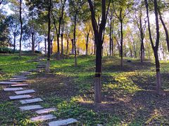 -大兴滨河森林公园