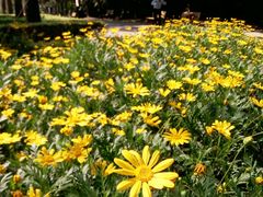 -苏州河梦清园环保主题公园