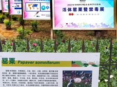 -国家植物园南园