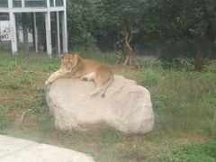 -西安秦岭野生动物园