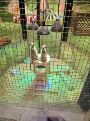 -酷嗒动物文化乐园(cutezoo西溪乐天城店)