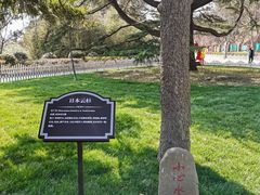 -青岛德国总督楼旧址博物馆