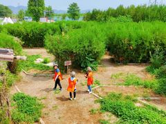 -亲兄弟真人CS团建拓展基地