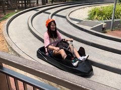 -圣淘沙天际线斜坡滑车