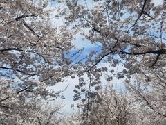 -龙美术馆(西岸馆)