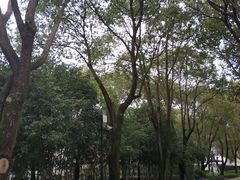 -上海银珠苑度假村-地面停车场