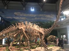 -自贡恐龙博物馆