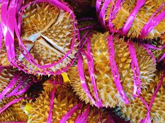 -元初食品(幸福e家小区店)