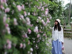 -白鹭湾湿地公园