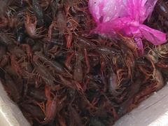 -马王堆海鲜水产市场