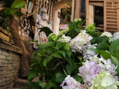 -懒鱼时光馆(沙坪坝店)
